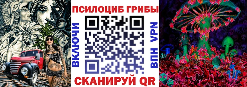 Галлюциногенные грибы Psilocybe  Купить  Жигулёвск 
