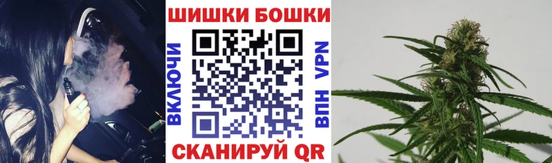 Бошки Шишки ГИДРОПОН  Купить закладки  Жигулёвск 